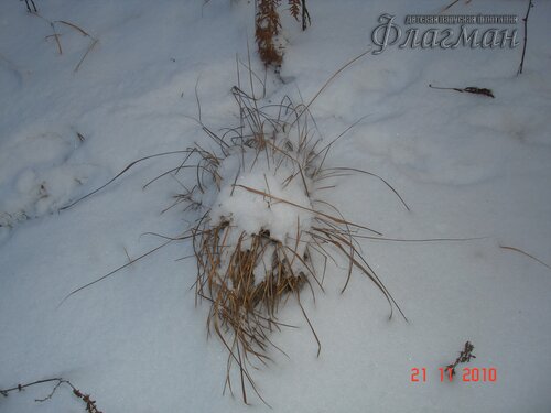 DSC04662_r